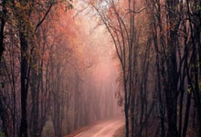 杏彩体育：詹俊：阿诺德想去皇马追求更高的个人成就，完全可以理解.