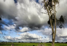 中国年轻球员未来可期——专访吉林东北虎篮球俱乐部总经理孙军.