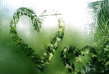 杏彩体育：马特乌斯谈多特表现不佳：这并不是科瓦奇的责任.